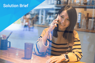 Volte Solution Brief